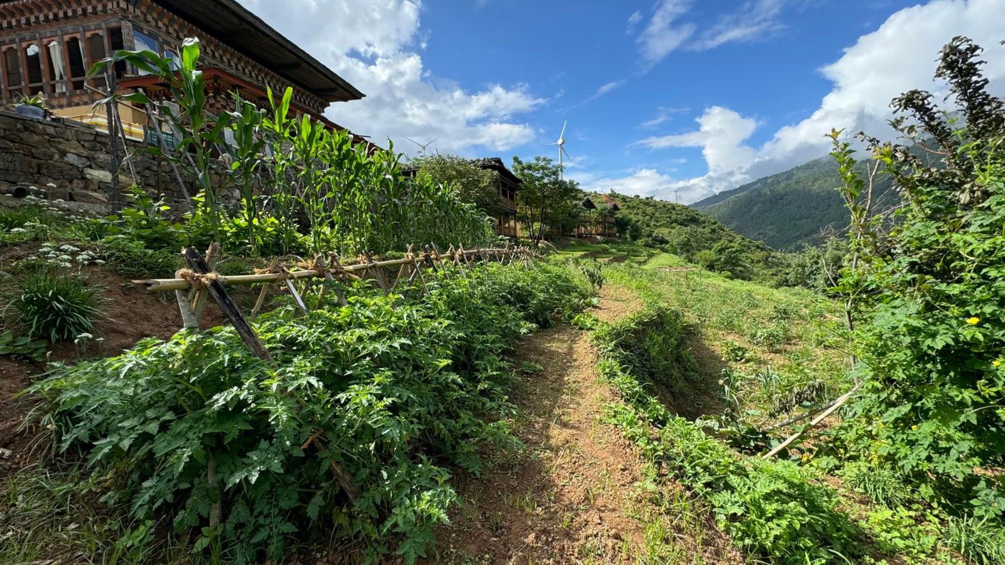 Wangdue Ecolodge Wangdue Phodrang Eksteriør bilde