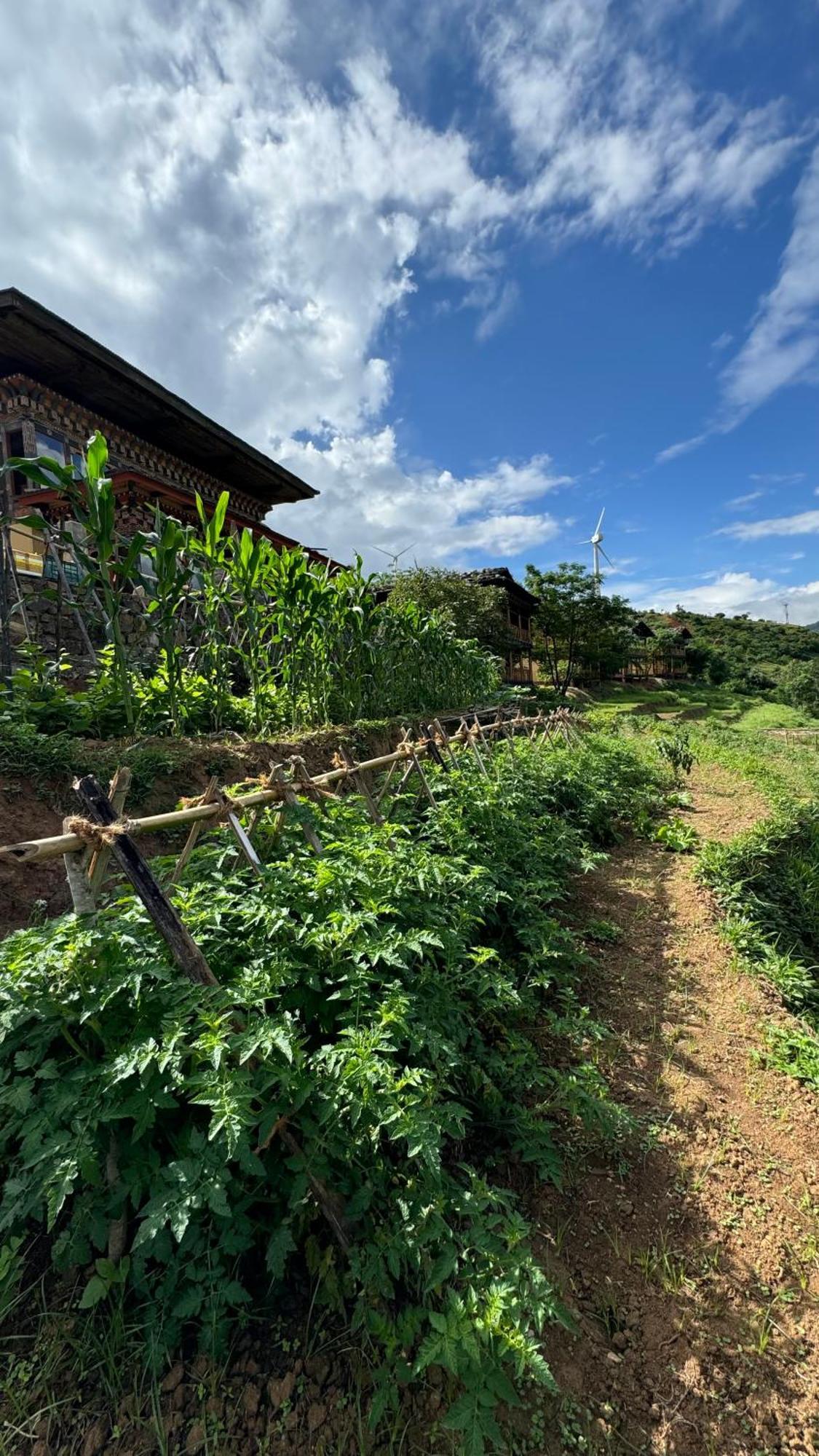 Wangdue Ecolodge Wangdue Phodrang Eksteriør bilde